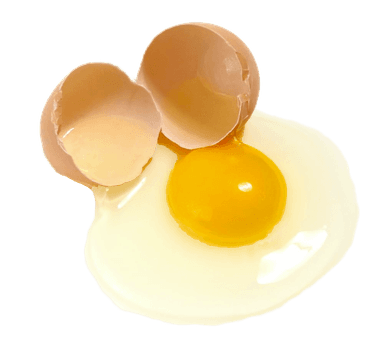 CHEAT PROTEIN